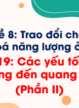 Bài 19. Các yếu tố ảnh hưởng đến quang hợp (Phần II)